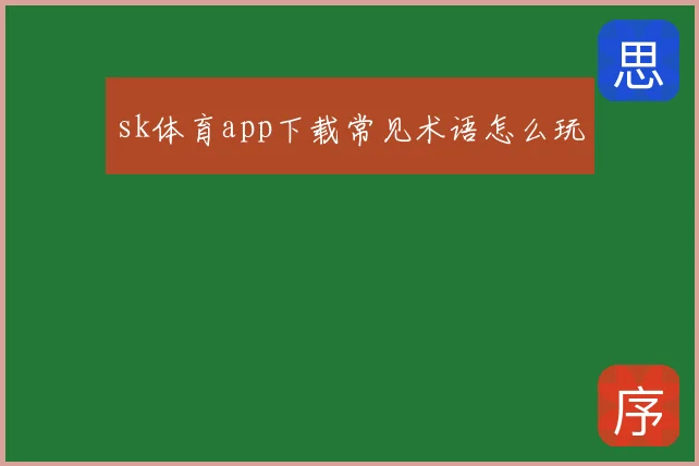 sk体育app下载常见术语怎么玩