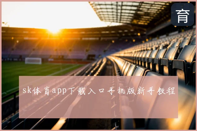 sk体育app下载入口手机版新手教程